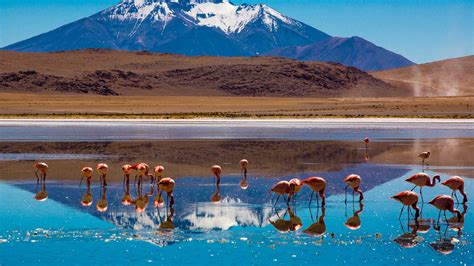 cheap tickets bolivia.